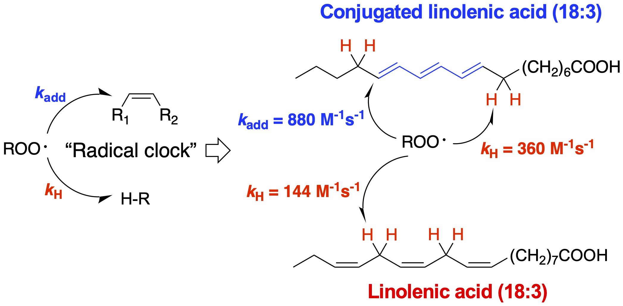 Free Radical Oxidation Xu Lab