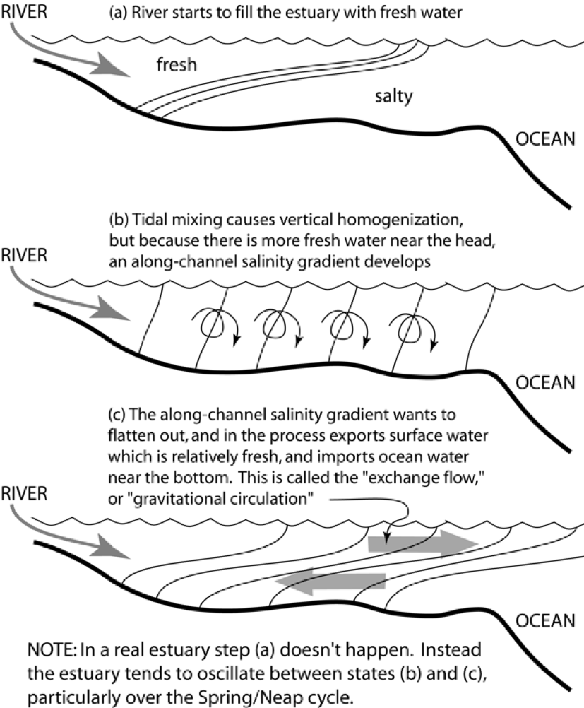 Estuarine Exchange Flow