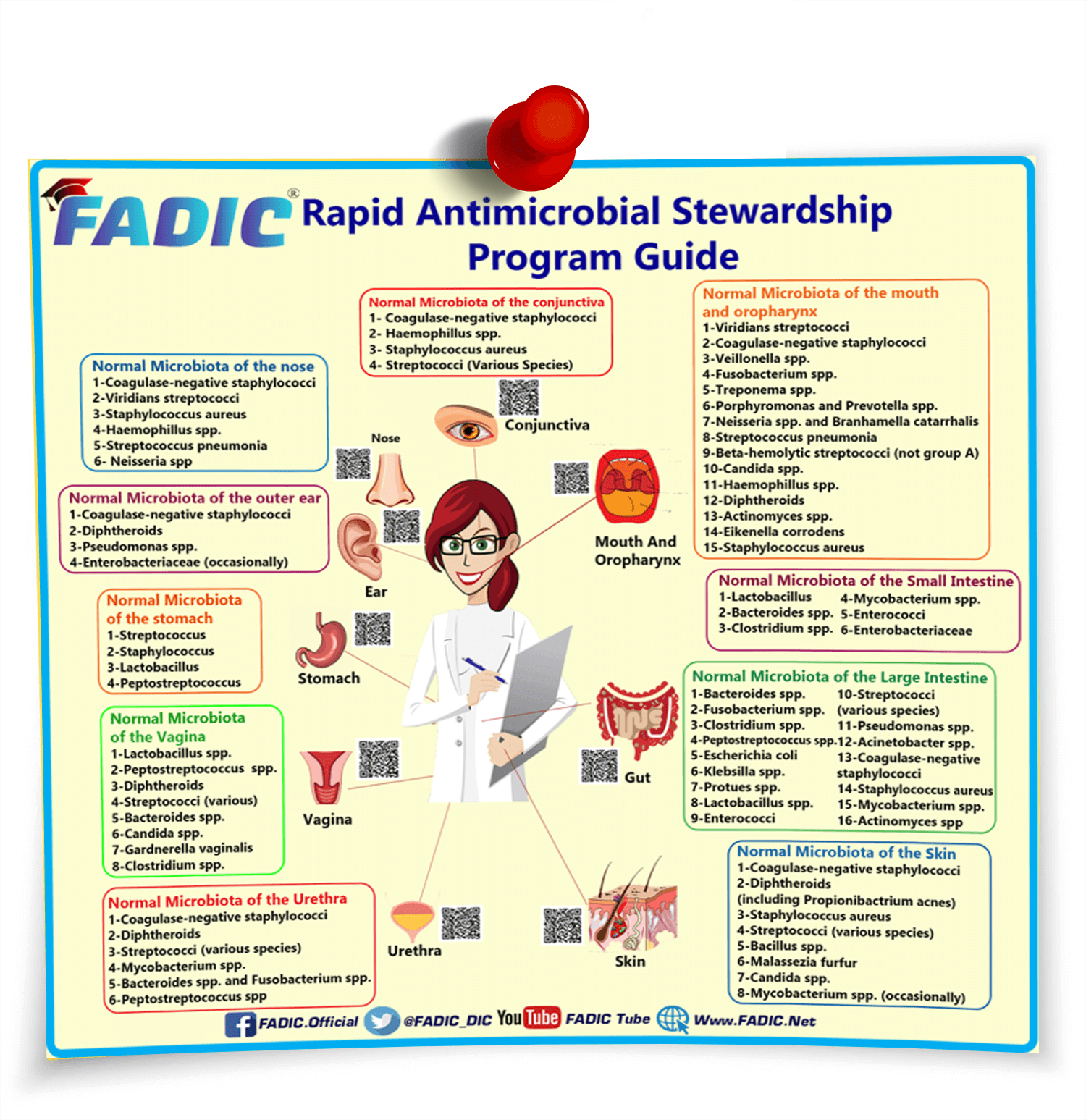 Antimicrobial Stewardship Program A Quick Practical Guide Archives FADIC