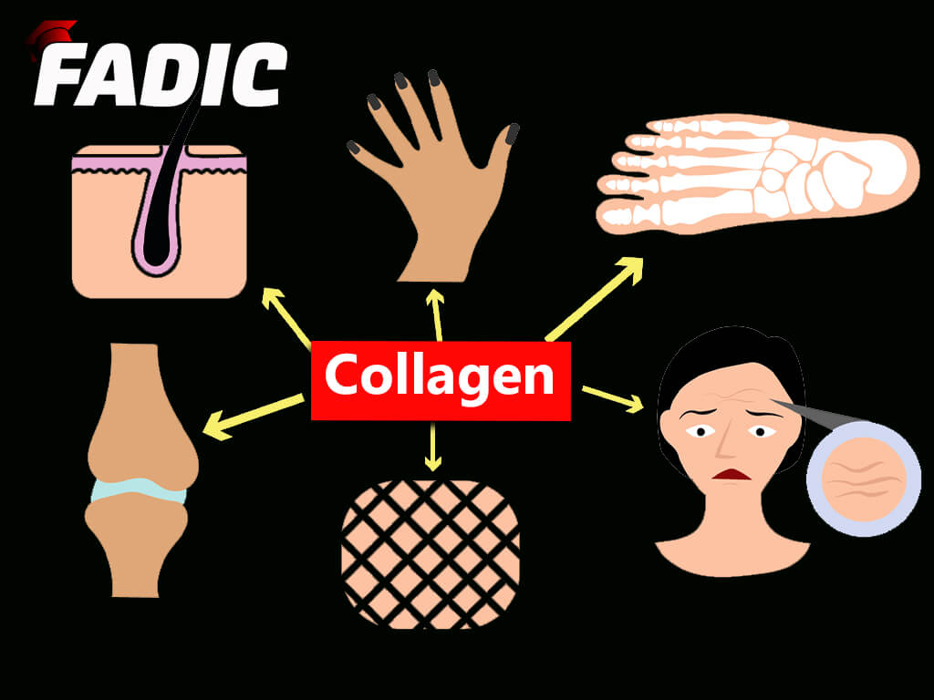 The Ultimate Guide Pros and Cons of Collagen Benefits