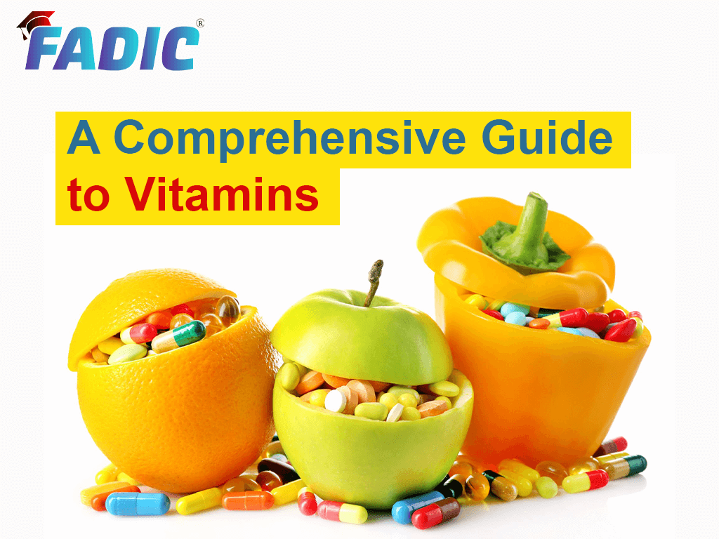 A Comprehensive Guide to Vitamins
