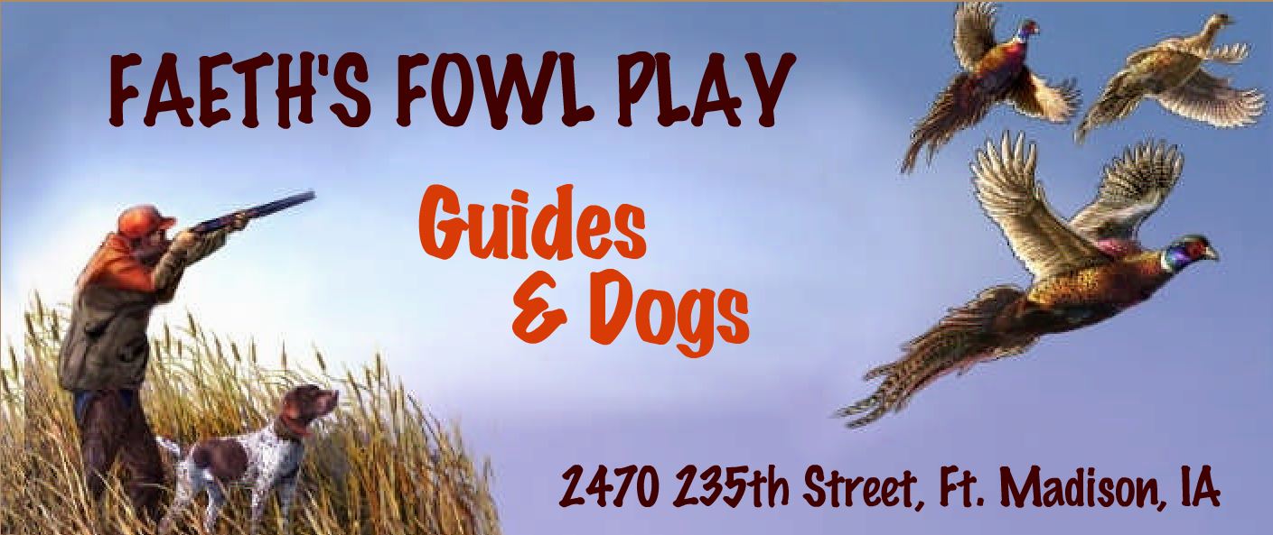 Faeth's Fowl Play SE Iowa's Premier Upland Hunting Destination