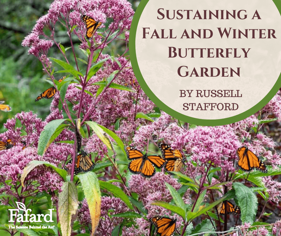 Sustaining a Fall and Winter Butterfly Garden Fafard