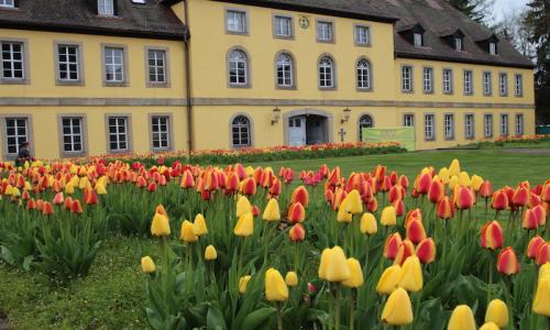 Home FAFO Freie Akademie fr Osteopathie