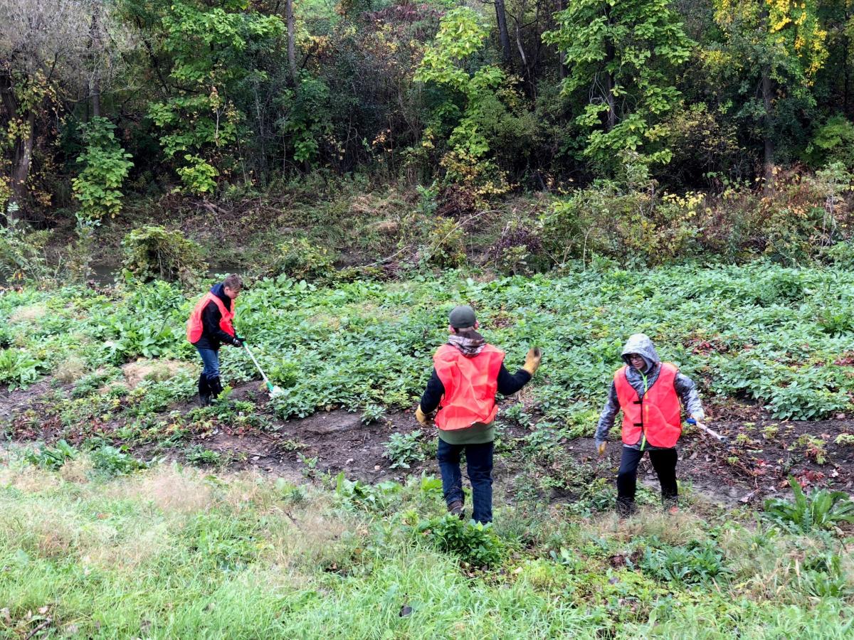 News Fagan Engineers