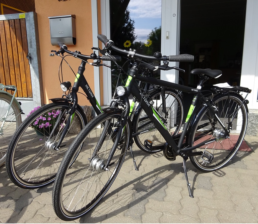 Fahrradfachhandel Buchholz