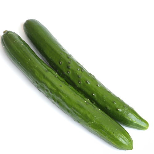 Cucumber Burpless Tasty Green Fairbanks Seeds
