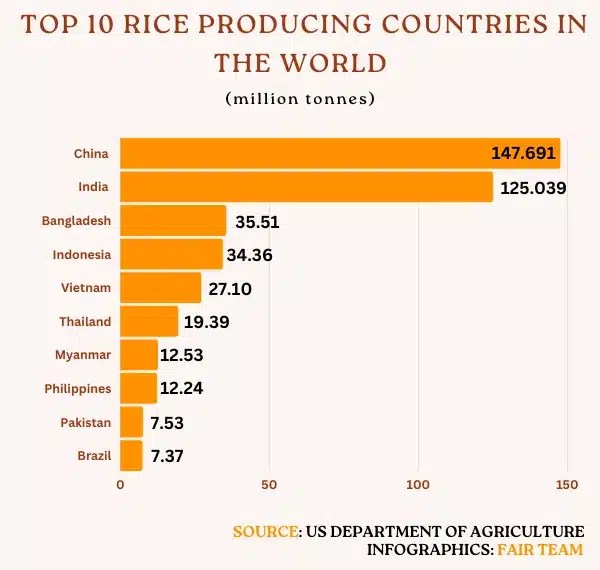 Top 10 Rice Producing Countries in the World [2023] FAIR