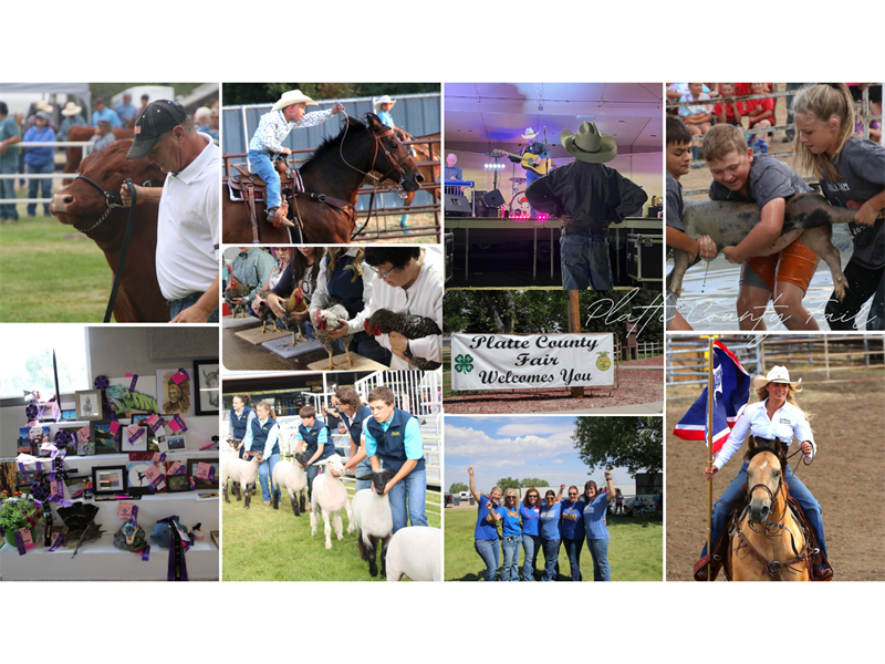 2023 WY Platte County Fair