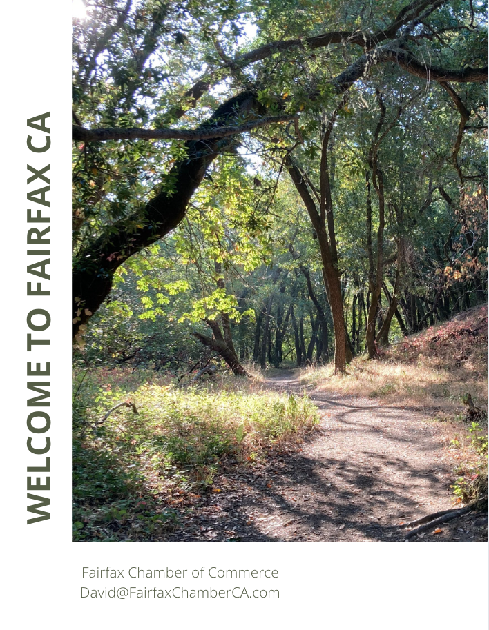 Fairfax Chamber of Commerce supporting a thriving, sustainable local