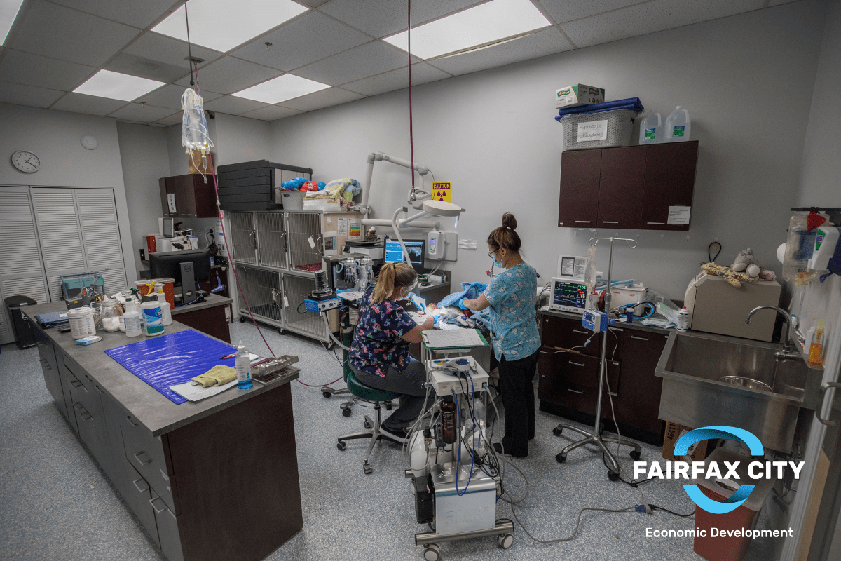 Business Spotlight Fairfax Veterinary Hospital Business Connected