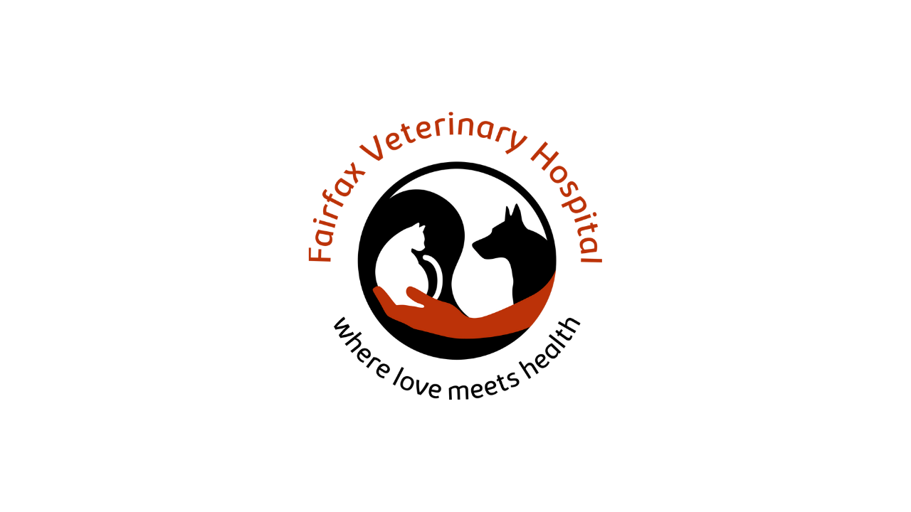 Business Spotlight Fairfax Veterinary Hospital Business Connected