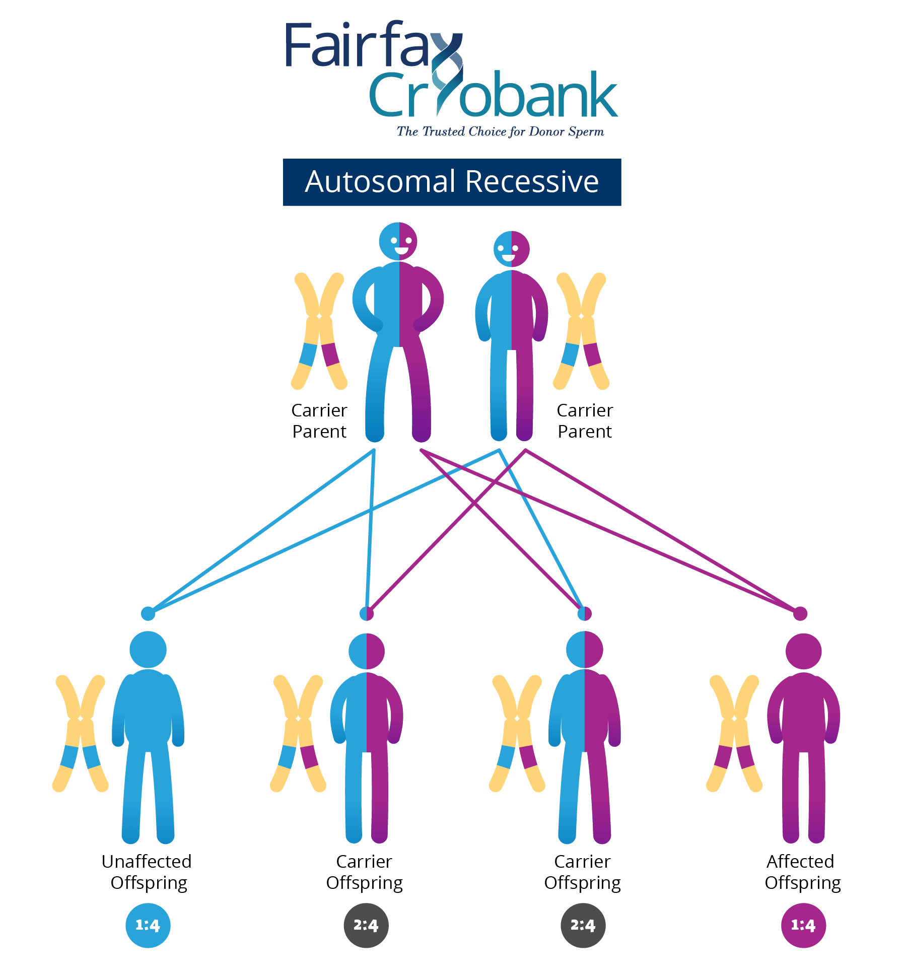 Expanded Disease Testing for Donor Sperm Fairfax Cryobank