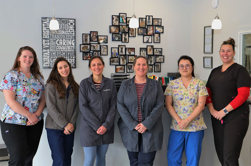 Our Mission in Fairfax, VA Fairfax Veterinary Hospital