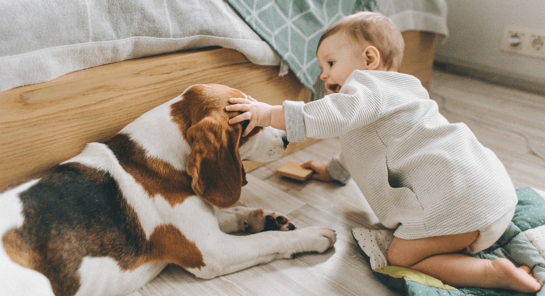 The Two Kinds of "No"