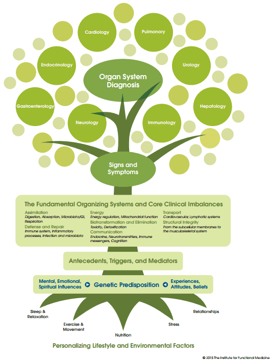 Functional Medicine - Australia - Fairfield Nutrition