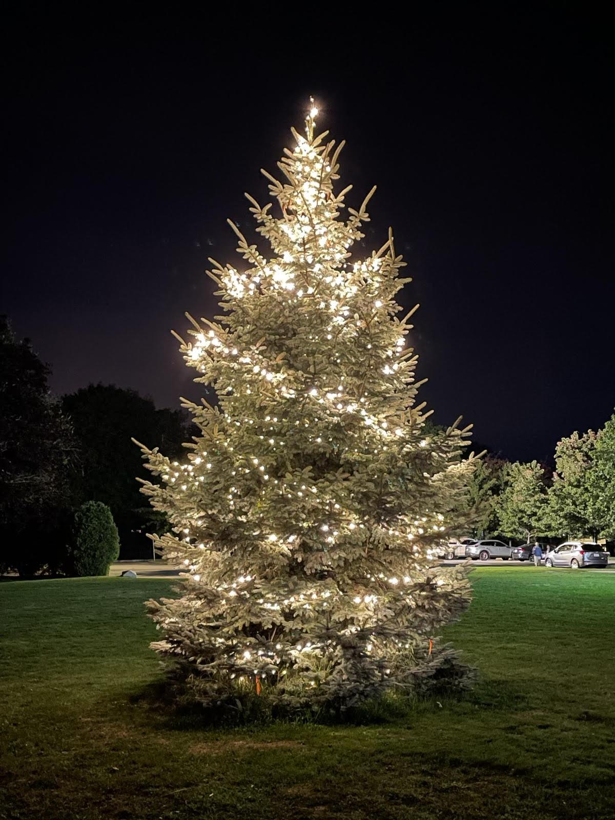 2022 LightaLight Fundraiser Kicks Off! News Fairhaven High School