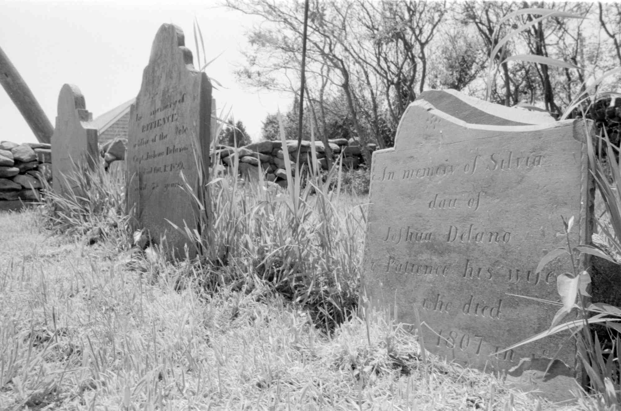 Fairhaven Cemetery Records