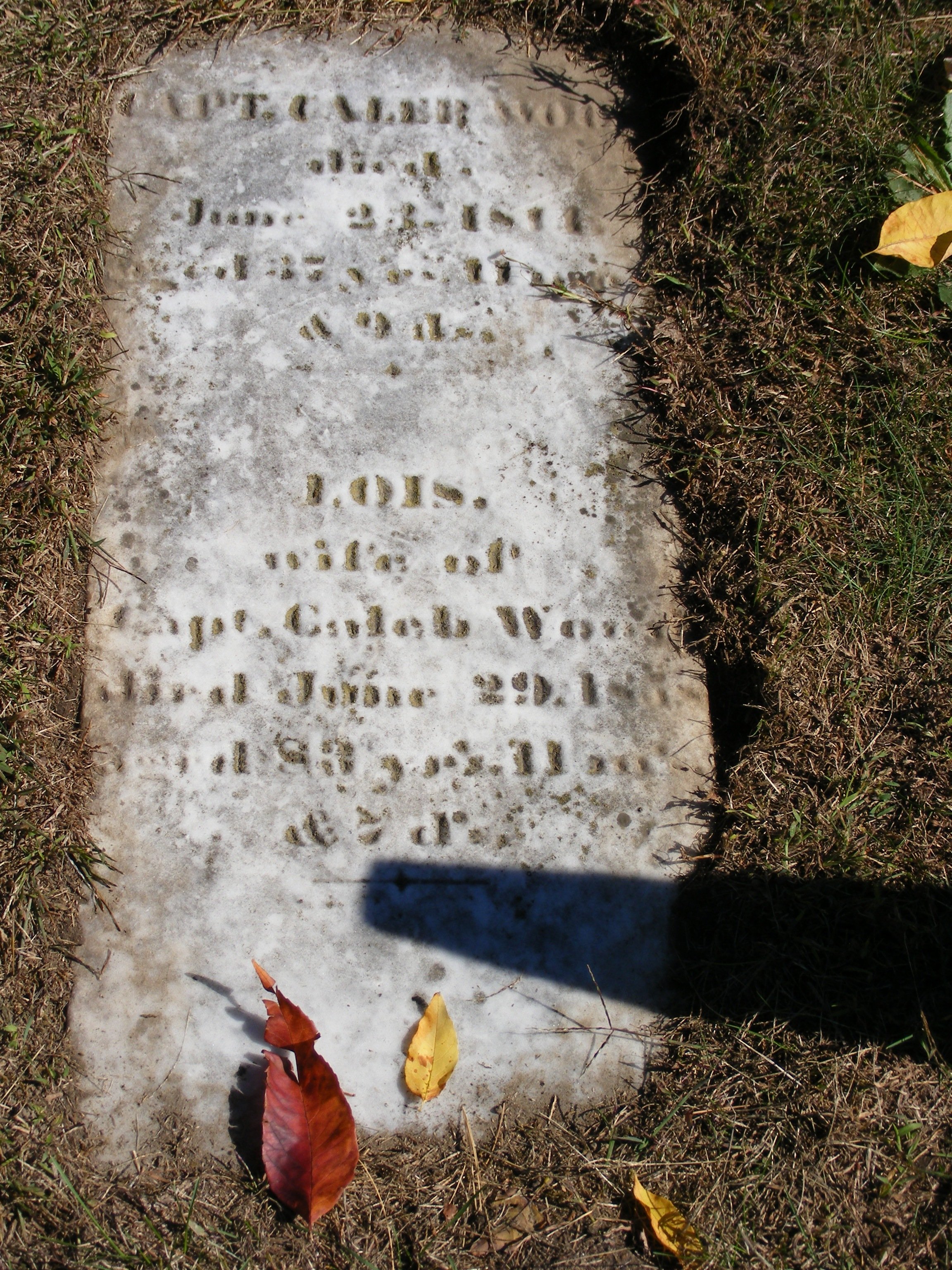 Fairhaven Cemetery Records