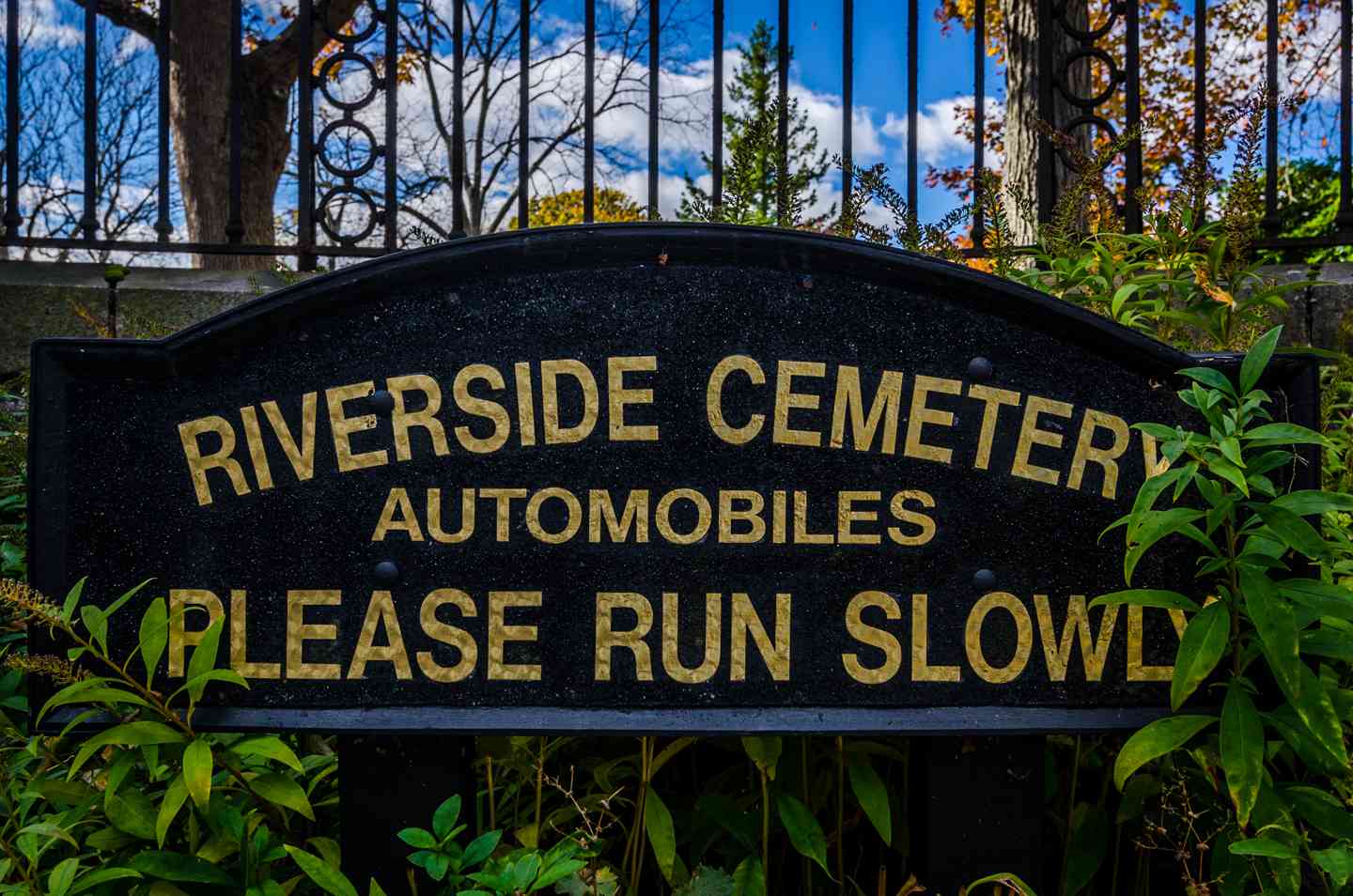 Fairhaven Cemetery Records