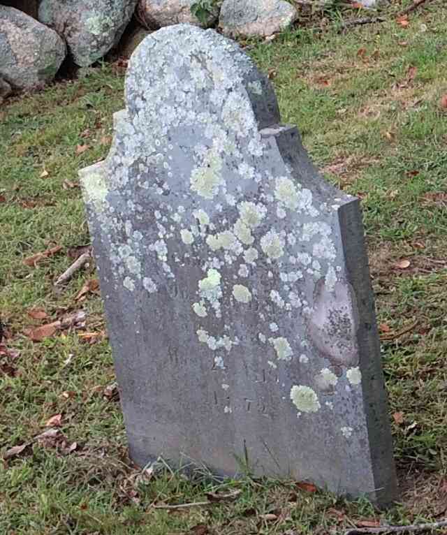 Fairhaven Cemetery Records