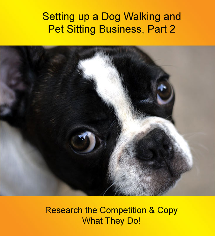Setting up a Dog Walking Business Pt 2 Research the Competition