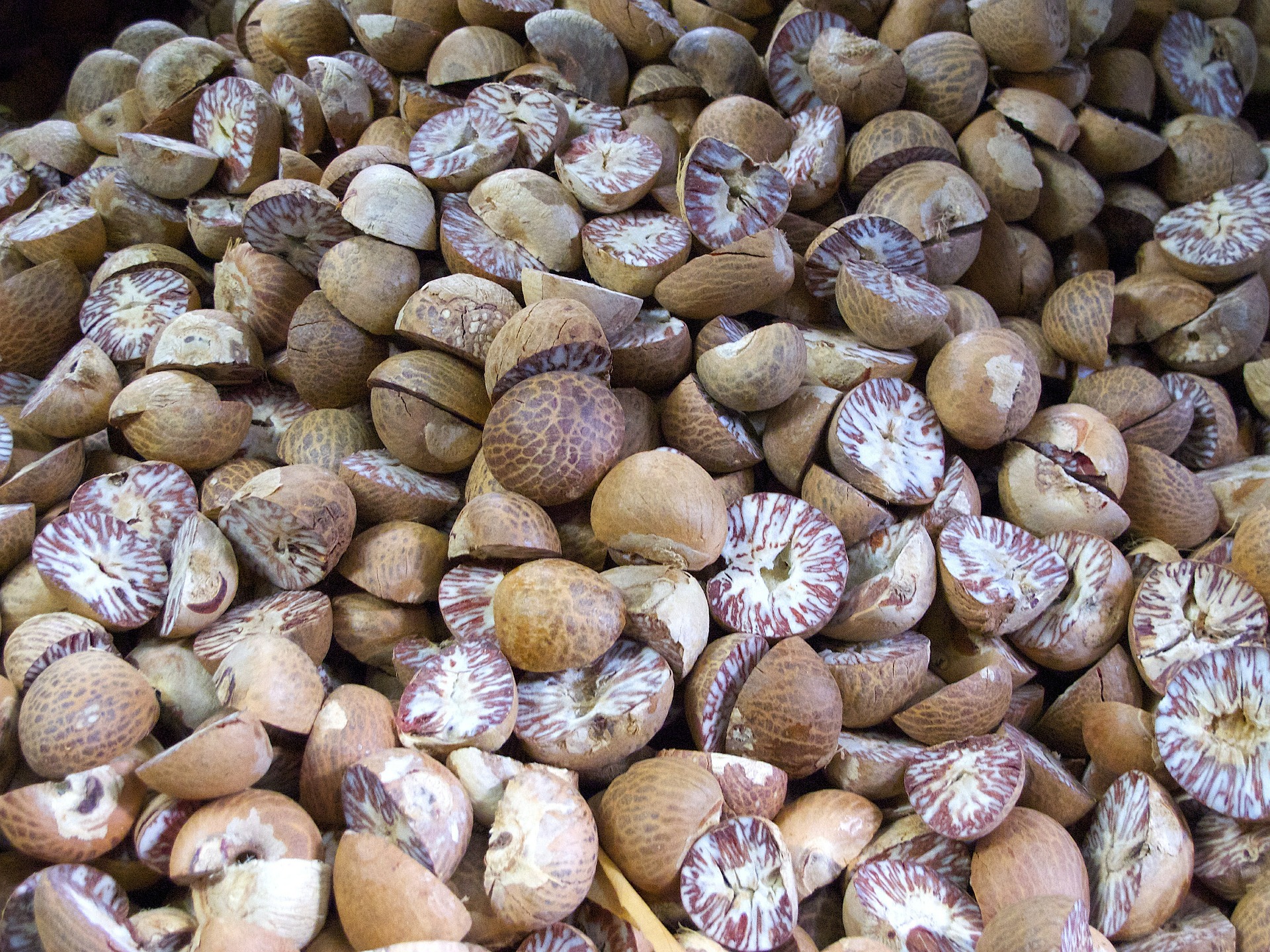 Betel Nut Listing Fair Trade Asean