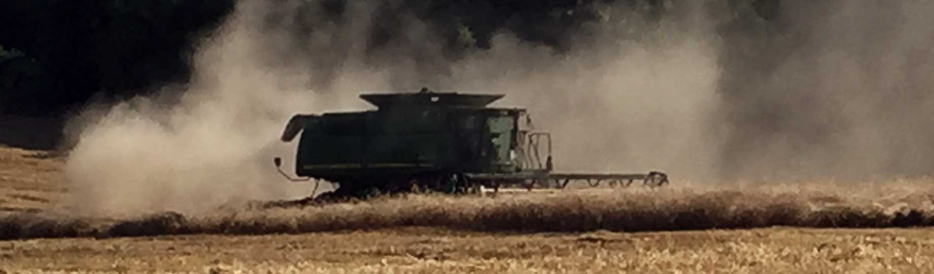 Combining a Rye Field Fairview Cattle & Grain