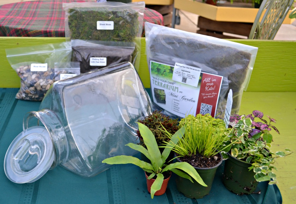 The Perfect Terrarium Fairview Garden Center