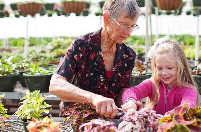 Garden Center Jobs In Raleigh Nc GREGARDEN