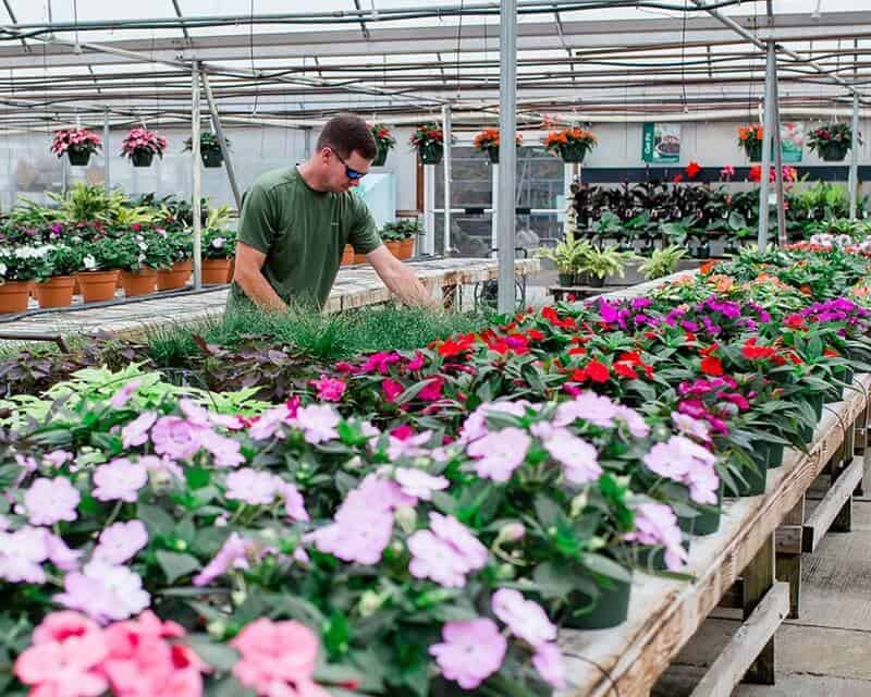 About Fairview Garden Center Plant Nursery Raleigh NC