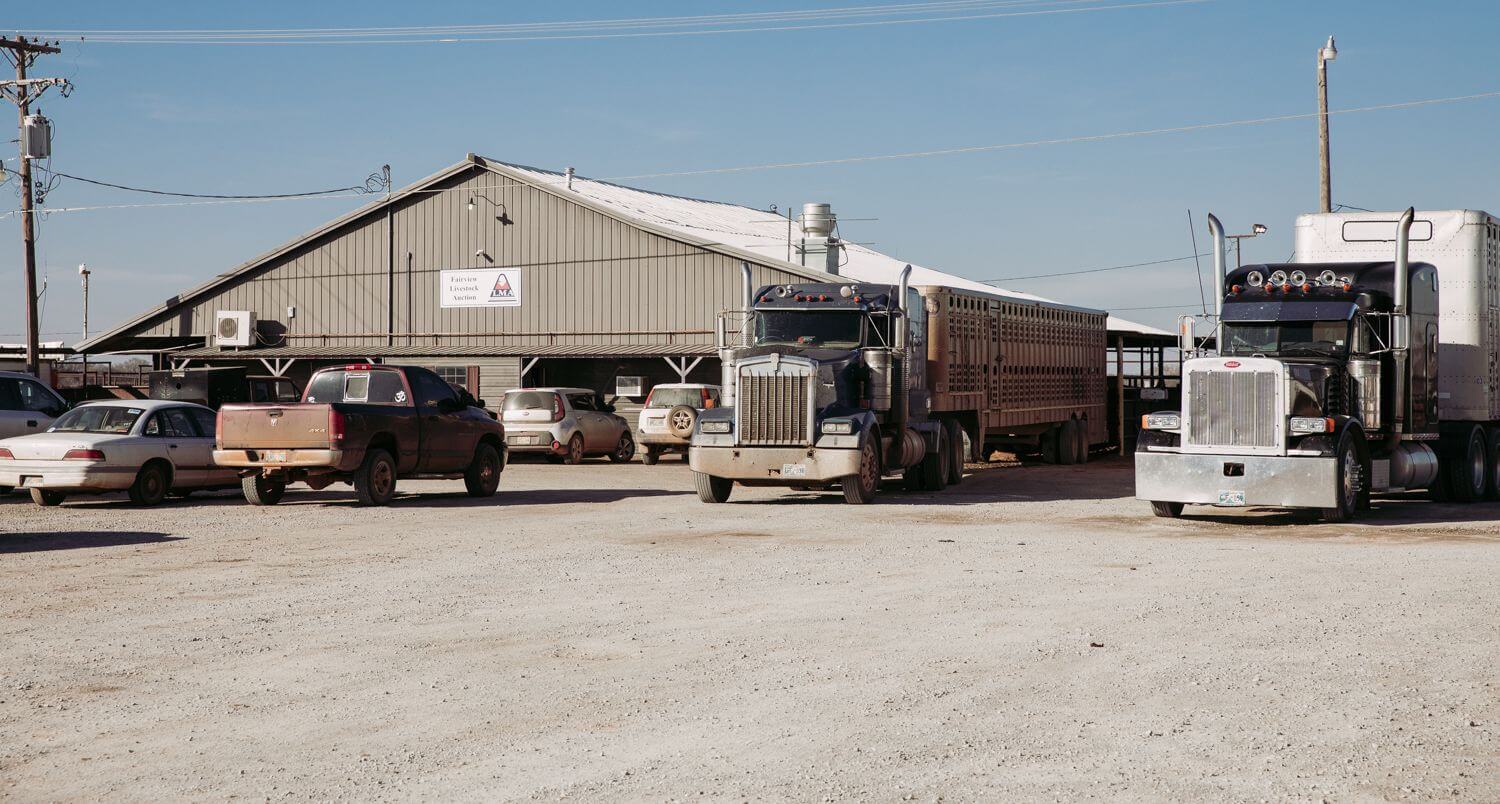 Home Fairview Livestock Commission Company