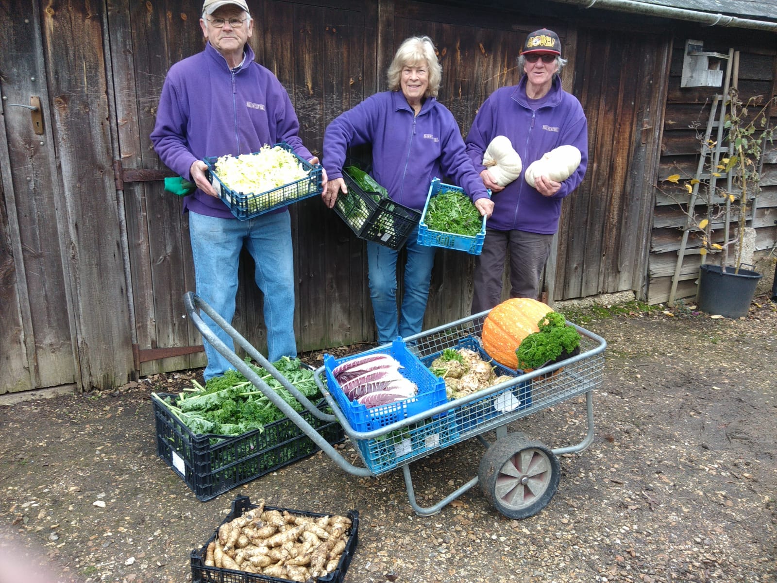 Fairweathers Garden Centre Brockenhurst