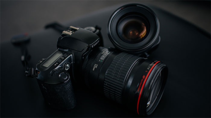 話題集めた チーターカメラ は選手よりも速い?―中国…収穫直前に ノリが消える むさぼるように食べる様子…舌が