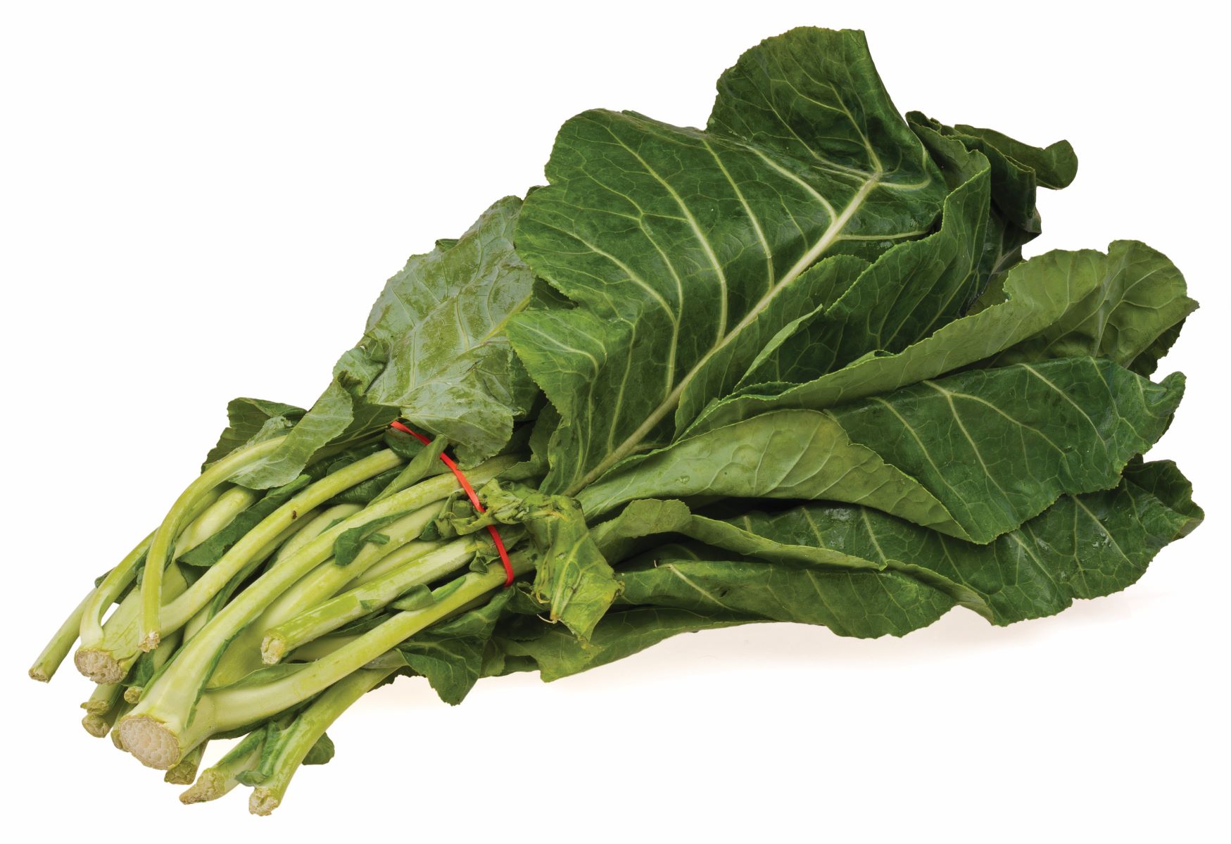 Classic Collard Greens Florida Agriculture in the Classroom