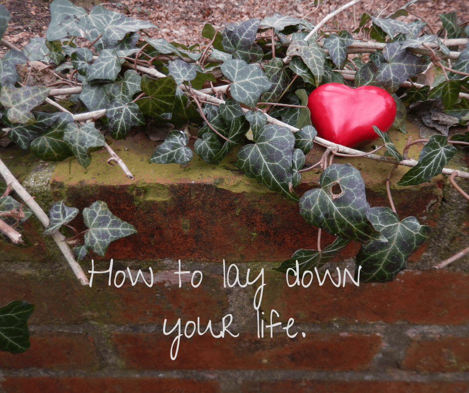 How to Apply “Lay Down Your Life” (1 John 31617) Grace Evangelical