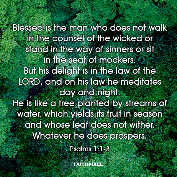 Blessed is the man who does not walk in the counsel of the wicked or