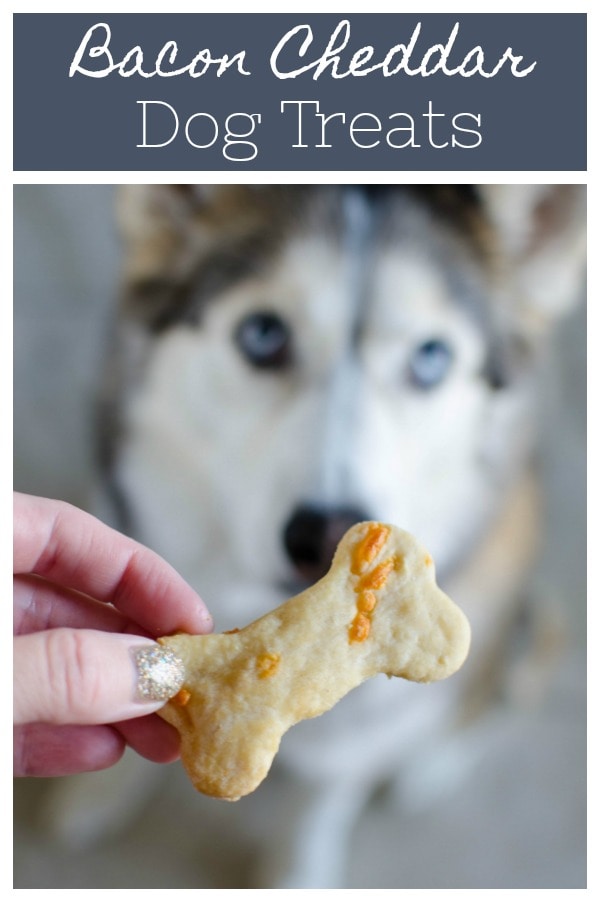 Bacon Cheddar Dog Treats Cheesy Bacon Dog Treats