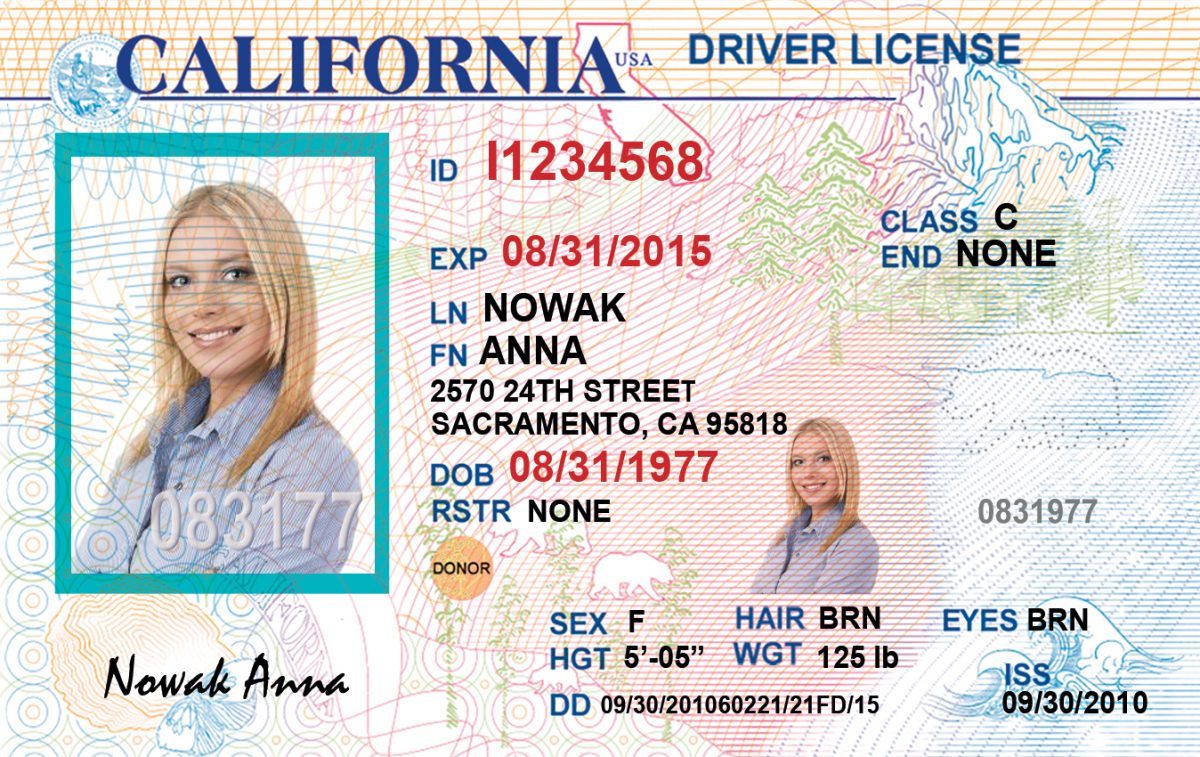 Californian driving licence Card Fake ID World