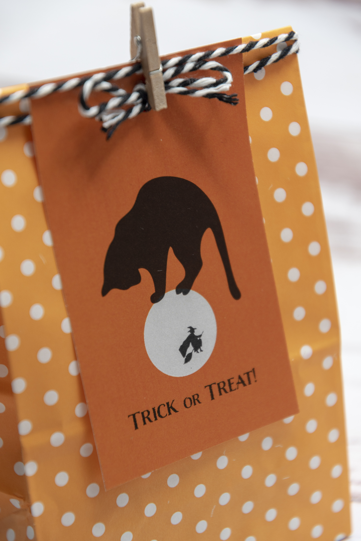 My kitty enya is a small size cat. Retro Black Cat Halloween Tags Faking It Fabulous