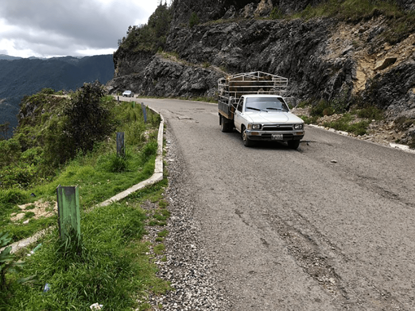 Dr Mosher’s Health Review of Dani’s Case FAKS Foundation