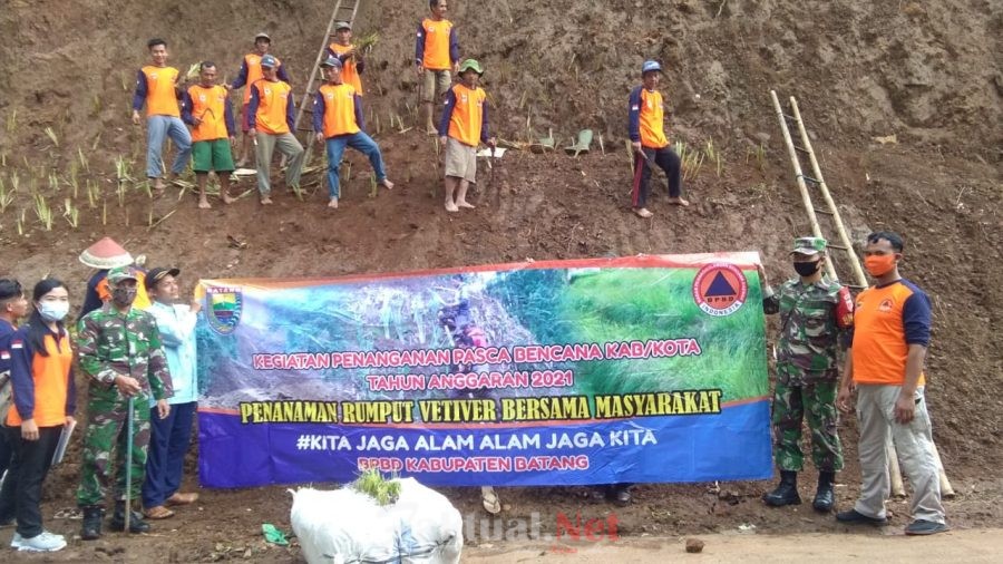 Seperti Rumput Di Tepi Jalan Perhatian Inilah 31 Jenis
