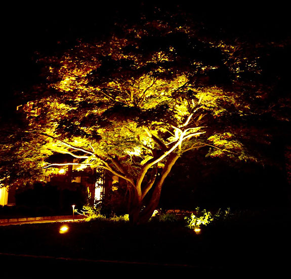Commercial Landscape Lighting +Exterior Lighting Westchester County NY