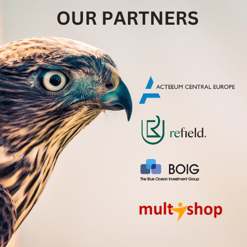 Falcon Investment Management