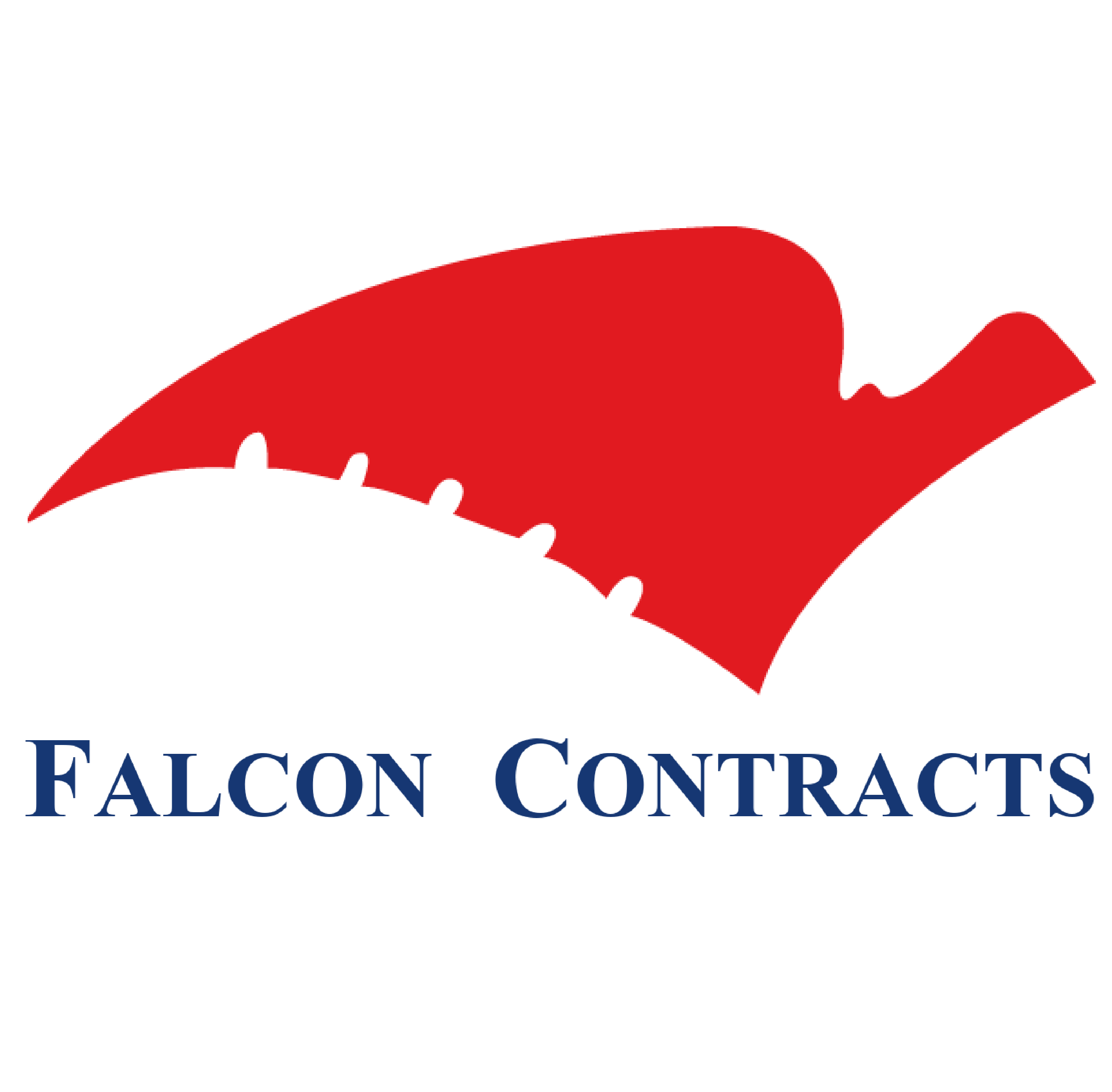 Falcon Contracts Interior Turnkey