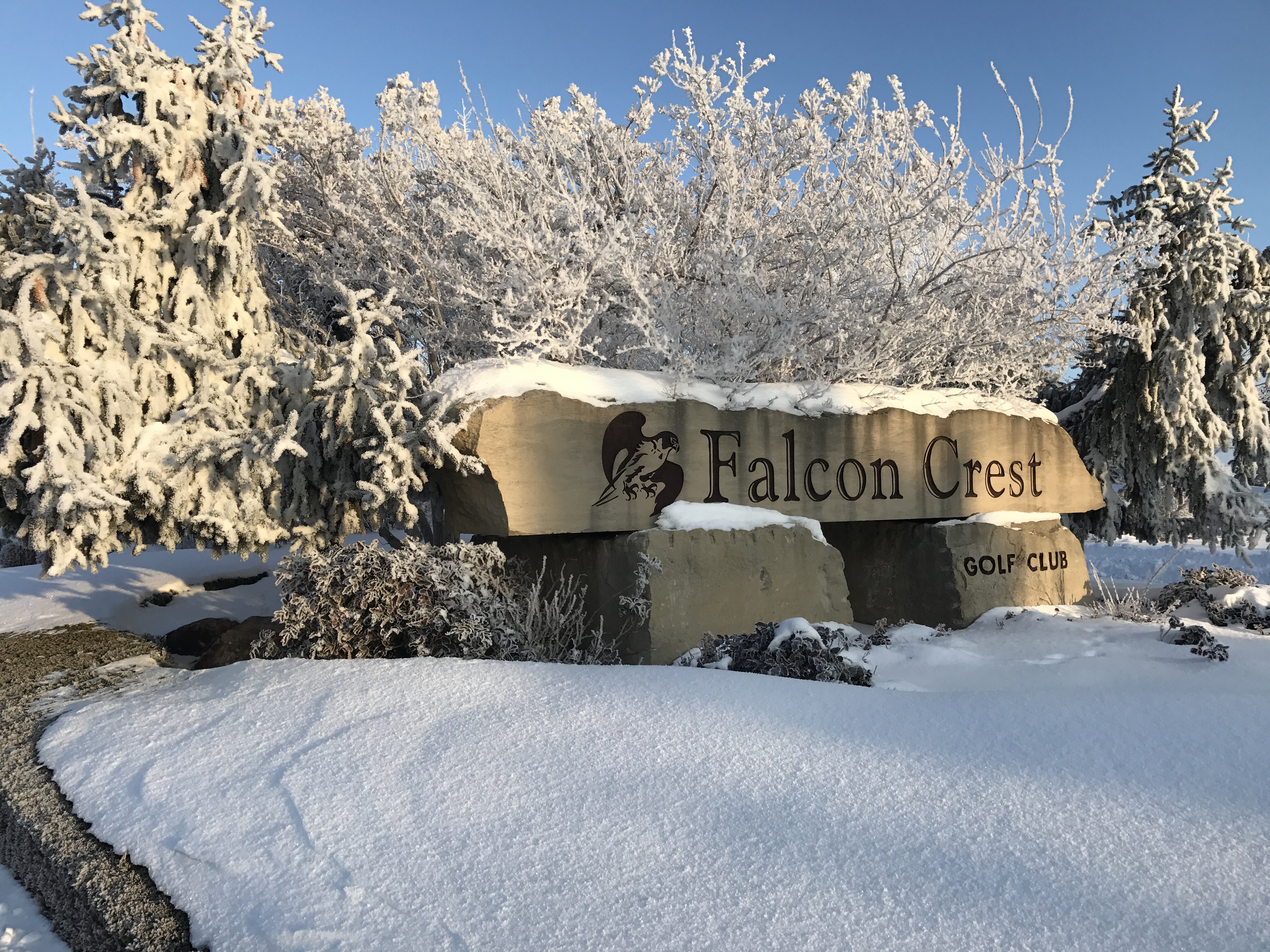 Happy New Year! Falcon Crest Golf Course