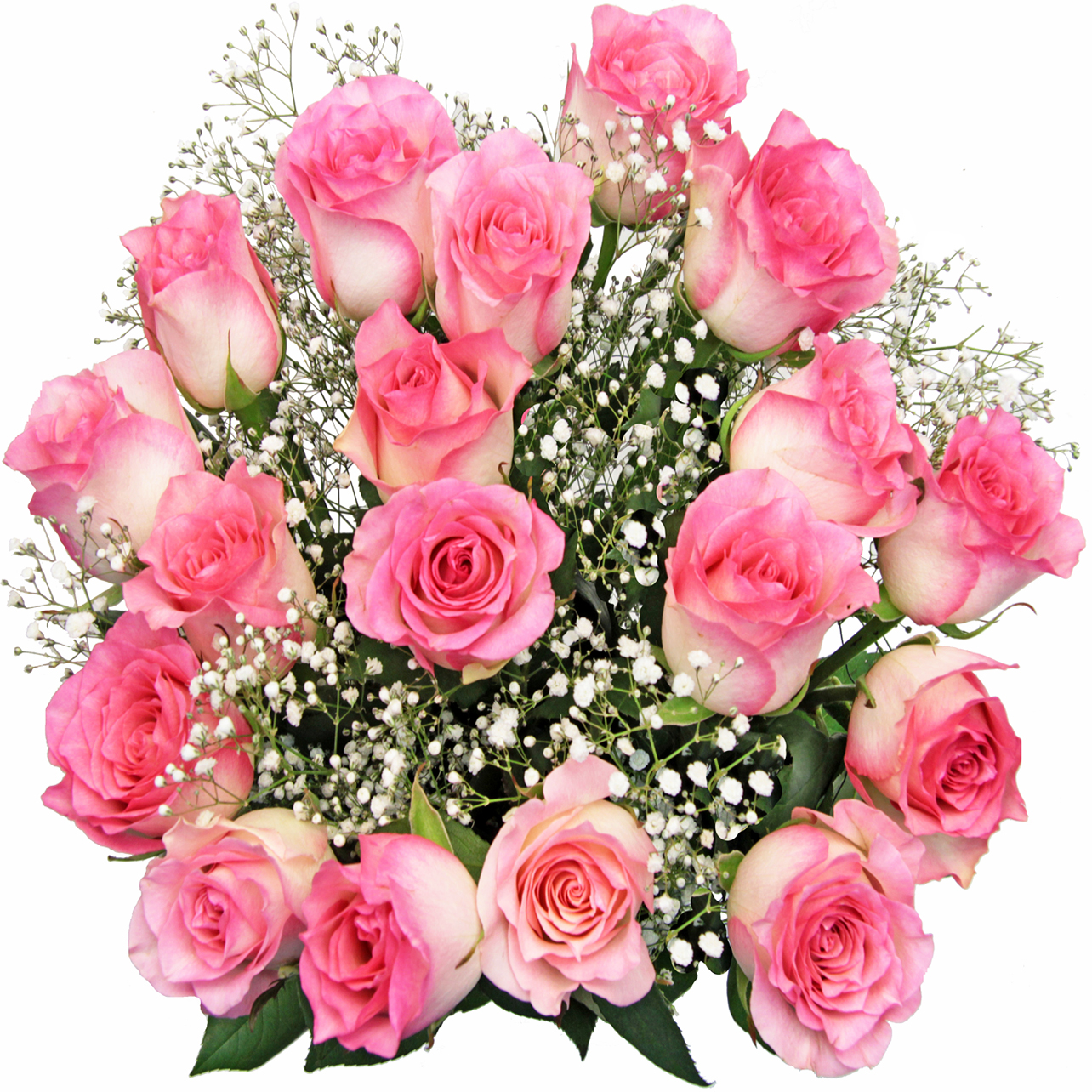 Our Products Falcon Farms