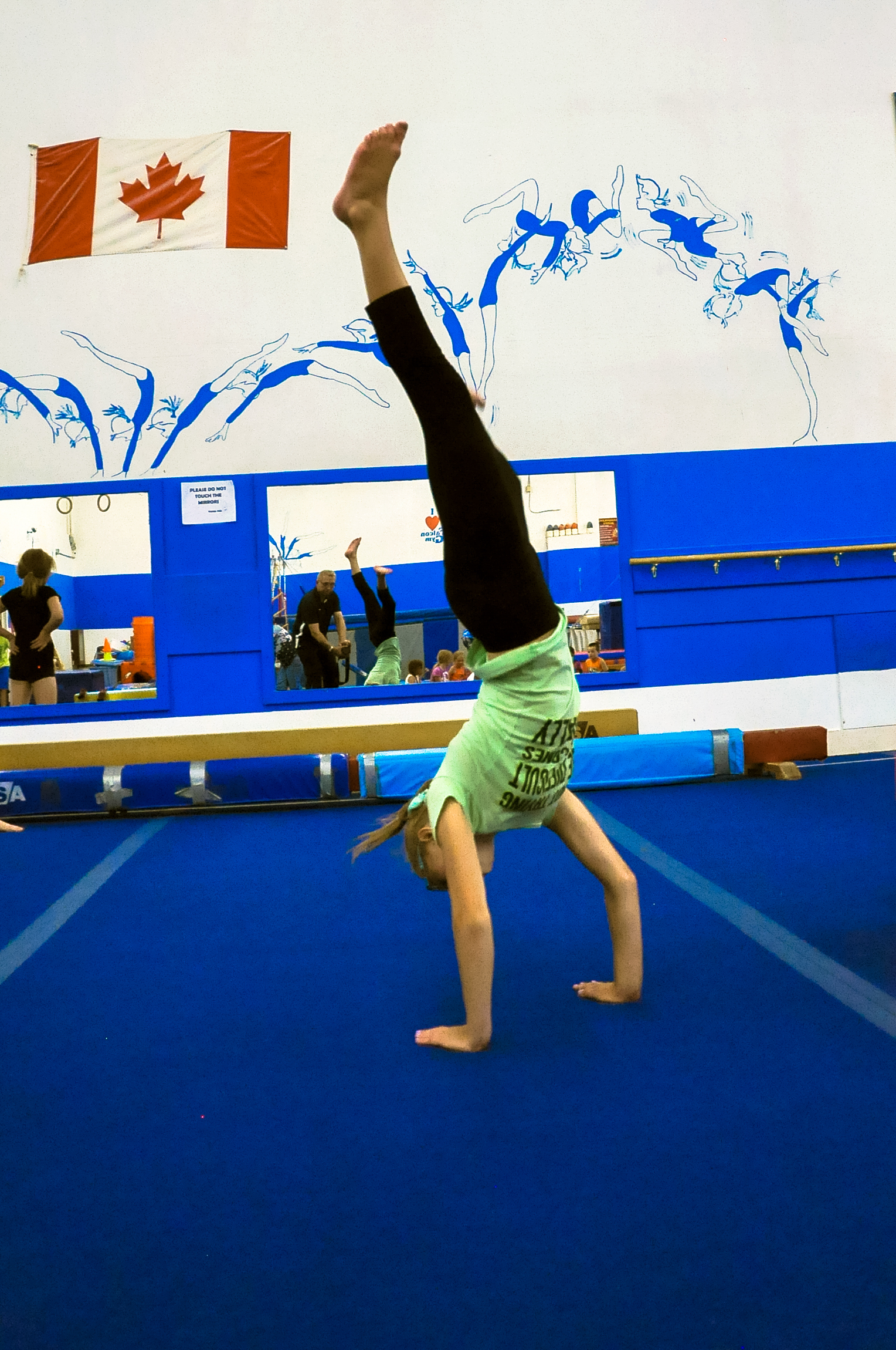 Falcon Gymnastics Falcon