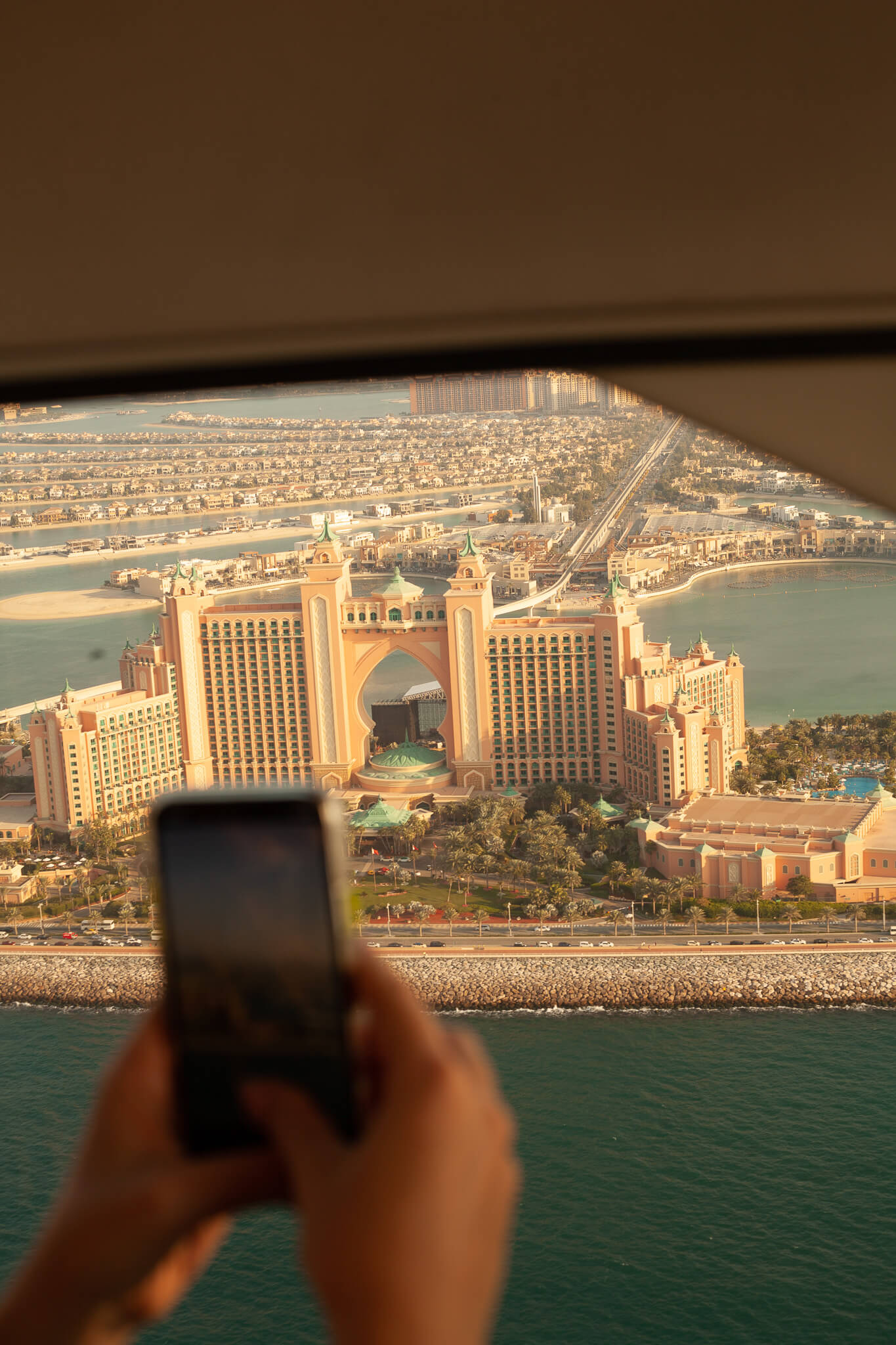 Gallery Falcon Tours