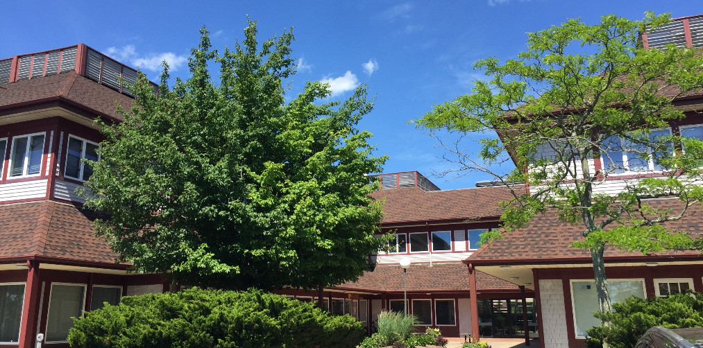 Contact Dr. Jeff Falcon, Integrative Holistic Practice, Middletown